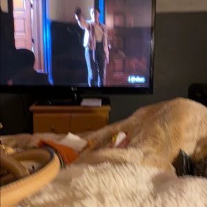 Meet your Posher, Tammi